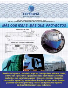 REVISTA 4463